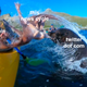 Illustration for article titled Seal Slaps The Bejesus Out Of Kayaker With Live Octopus